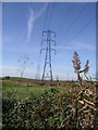 Pylons off Seasalter Lane