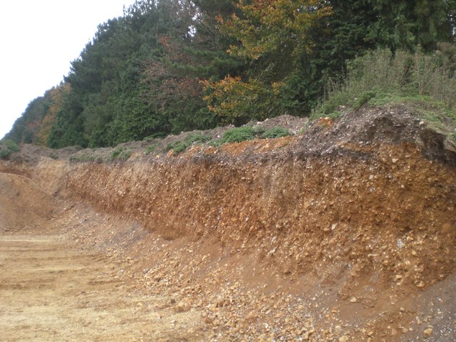Sand and gravel strata on the southern edge of Coxford Wood
