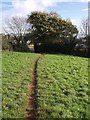 Footpath to Nut Bush Lane