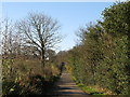 Lane near Watch Currock Farm (2)