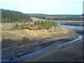 NY6490 : "Island" at mouth of Lewis Burn - Kielder Water by terry gregg