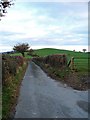 Narrow lane to Llandyssil