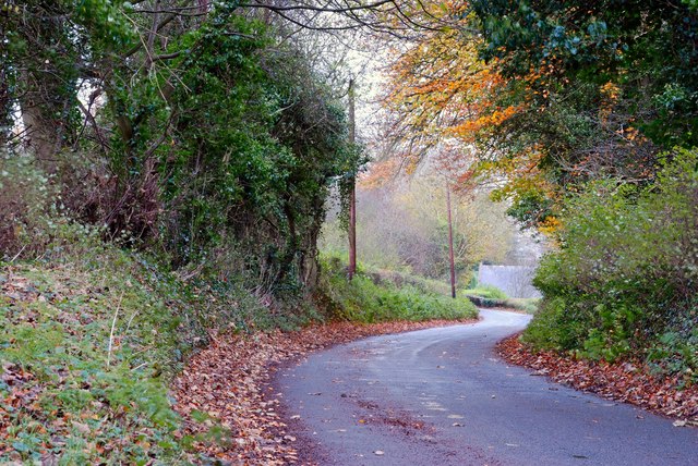 The Grove Road near Kells and Connor