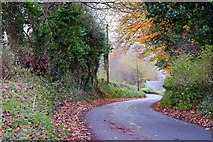 J1298 : The Grove Road near Kells and Connor by Albert Bridge