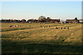 Ridge and Furrow at Roadside Farm