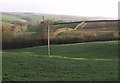 SX3389 : Fields below Wilkie Down Farm by Derek Harper
