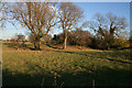 Farmland off Works Lane