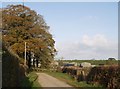 Lane approaching Wilkie Down Farm