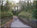 Missing bridge on the Bude Canal