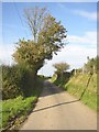 Lane near Maesgwyn, Llandissiliogogo