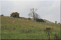 SK5041 : Catstone Hill by Alan Murray-Rust