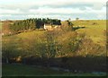 NY5172 : View across the White Lyne to Lyneholme by Rose and Trev Clough
