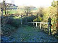 The way to the woodland walk