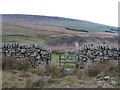 NY6550 : Gate in drystone wall, Knarsdale Common by Mike Quinn
