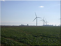 TF4501 : Rape field with dancing turbines by Keith Edkins