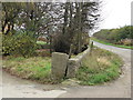 Pictish Symbol Stone at Drimmies