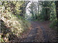 Bridleway to Little Wenlock