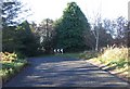 Bend in Road near Easter Ord