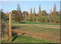 Footpath, Battisford