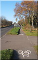 B1113 and cycleway up from Badley Bridge