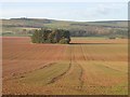 Arable land, Langton