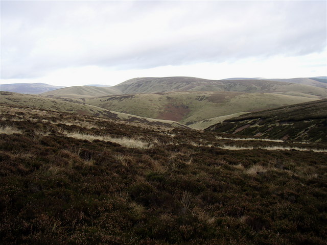 Beef Stand looking to Black Braes and Windy Gyle
