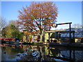 Grand Union Canal: Winkwell Dock (3)