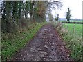 Muddy lane at Kildew