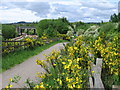 Staveley - Trans Pennine Trail near Chesterfield Canal crossing