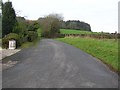 Road at Annaghsallagh