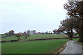 Farm Road to Middleton Baggott, Shropshire