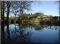 Hatfield village pond