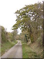 TL5243 : Country lane approaching Burton Wood from the west by Stephen Harris