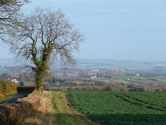 Shropshire Farmland near Middleton Scriven