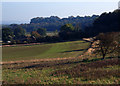 Fields above Tadsor Farm