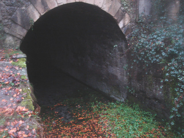 Sapperton Tunnel: Coates Portal