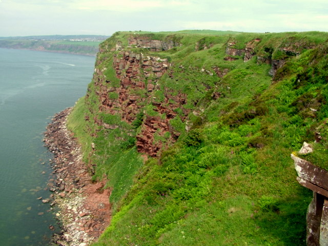 Cliffs overlooking Saltom Bay