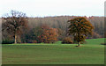 Cropfields and Coppice, Deuxhill, Shropshire