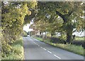 The road from Trowell to Cossall, looking south