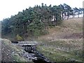 Footbridge over Ireshope Burn