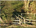 Footbridge over Penn Brook, Staffordshire