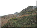 Tors on Mynydd y Graig