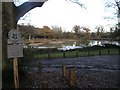 Low water levels in Fourwents Pond