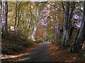 Minor road near Burnhervie