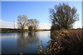 Little Ouse River at Decoy Fen