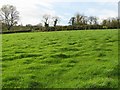 Derryhaw Townland