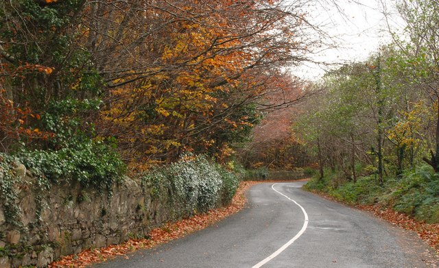 The Ferry Hill near Omeath