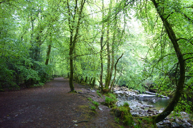 Woodland footpath by river Erme