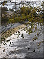 Weir on the Wharfe