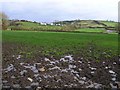 Brootally Townland